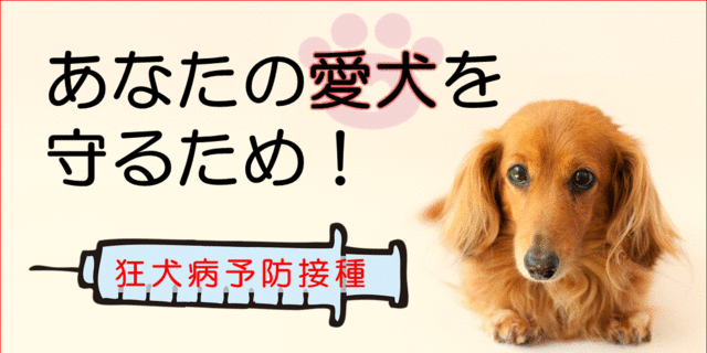 狂犬病予防接種