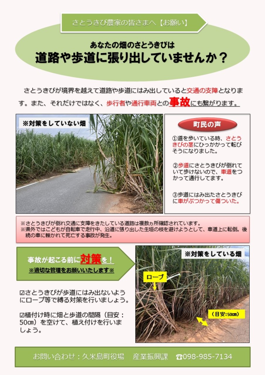 さとうきび対策