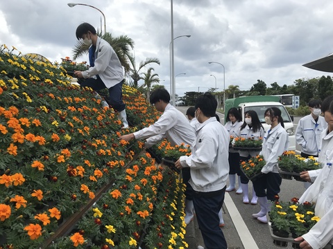 花看板設置風景