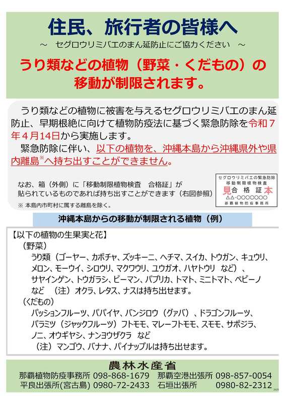 チラシ