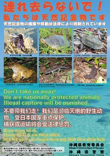 天然記念物違法捕獲等防止ポスター_中国向け