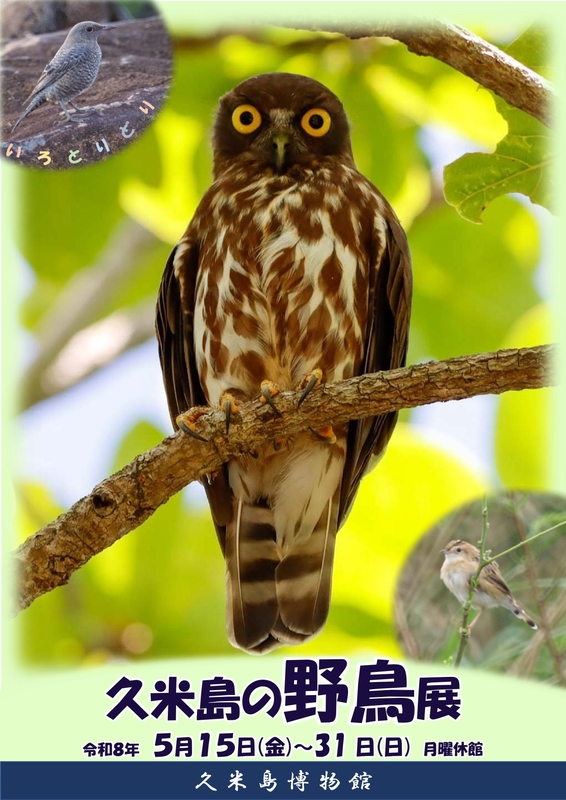 野鳥展ポスター