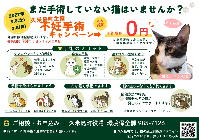 未だ手術していない猫いませんか? 未だ手術していない猫いませんか?