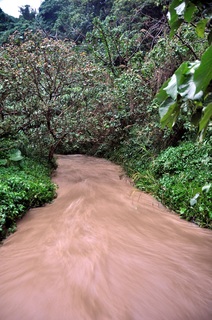 大雨の赤土濁流