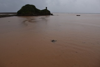 阿里川浦地川河口赤土