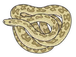 ハブ