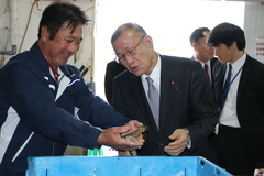 久米島漁協（エビ養殖場）視察