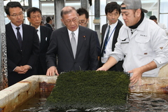 久米島海洋深層水開発(海ブドウ養殖場）視察