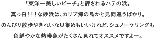 「東洋一美しいビーチ」と評されるハテの浜。
									真っ白！！！な砂浜は、カリブ海の島かと見間違うばかり。
									のんびり散歩やきれいな貝集めもいいけれど、シュノーケリングも
									色鮮やかな熱帯魚がたくさん見れてオススメですよー。