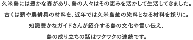 久米島には豊かな森があり、島の人々はその恵みを活かして生活してきました。
									古くは薪や農耕具の材料を、近年では久米島紬の染料となる材料を採りに。
									知識豊かなガイドさんが紹介する島の文化や言い伝え、
									島の成り立ちの話はワクワクの連続です。