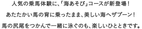 人気の乗馬体験に、「海あそび」コースが新登場！
									あたたかい馬の背に乗ったまま、美しい海へザブーン！
									馬の尻尾をつかんで一緒に泳ぐのも、楽しいひとときです。