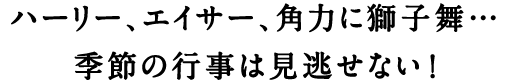 ハーリー、エイサー、角力に獅子舞…季節の行事は見逃せない！