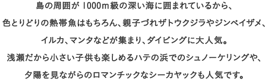 島の周囲が1000ｍ級の深い海に囲まれているから、色とりどりの熱帯魚はもちろん、
									親子づれザトウクジラやジンベイザメ、イルカ、マンタなどが集まり、ダイビングに大人気。
									浅瀬だから小さい子供も楽しめるハテの浜でのシュノーケリングや、夕陽を見ながらの
									ロマンチックなシーカヤックも人気です。