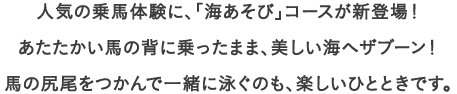 人気の乗馬体験に、「海あそび」コースが新登場！
									あたたかい馬の背に乗ったまま、美しい海へザブーン！
									馬の尻尾をつかんで一緒に泳ぐのも、楽しいひとときです。