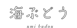 海ぶどう umi budou