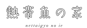 熱帯魚の家 nettaigyo no ie