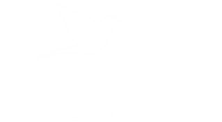 Bird's View 空から見ると？