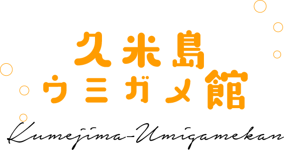 久米島ウミガメ館 Kumejima-Umigamekan