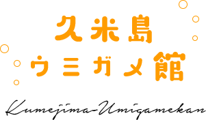 久米島ウミガメ館 Kumejima-Umigamekan